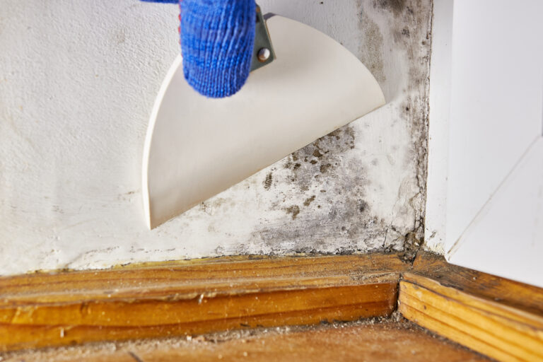 Close-up of mold growth along a wall and baseboard being removed with a scraper, highlighting professional mold remediation by Paul Davis Restoration of Tri-County, MD