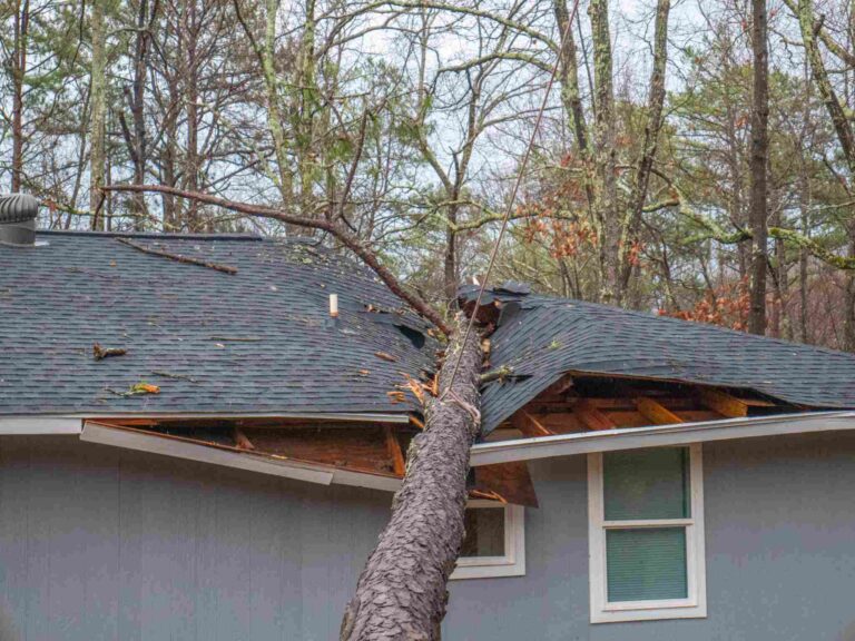 Storm damage restoration for fallen tree through roof by Paul Davis Restoration of Tri-County, MD